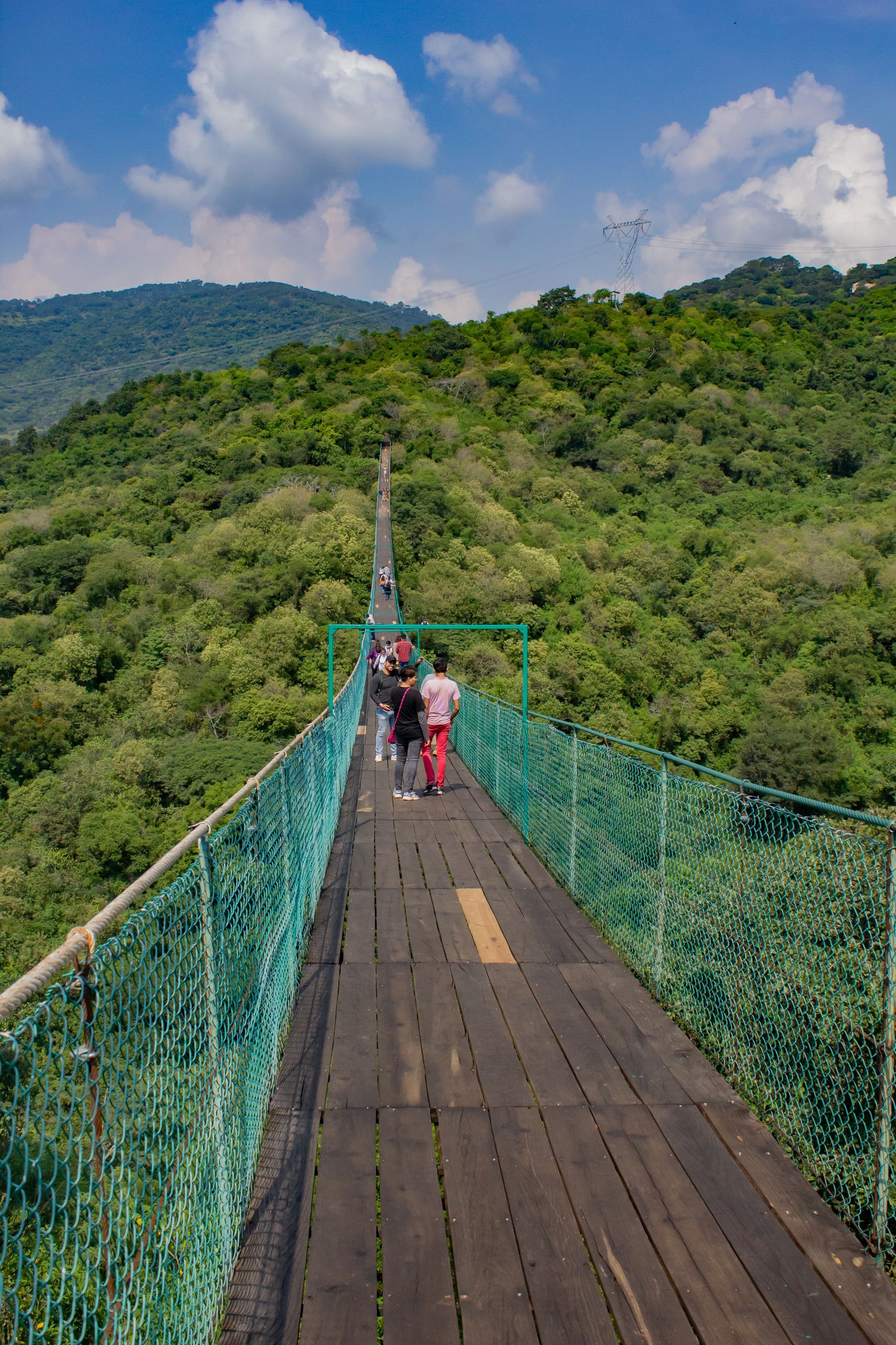 Un grupo de personas camina por un puente colgante en el bosque.