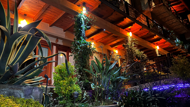 Una casa con techo de madera y muchas plantas frente a ella por la noche.