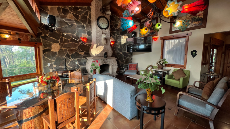 Una sala de estar llena de muebles y una chimenea.