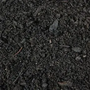 Compost Mix Soil