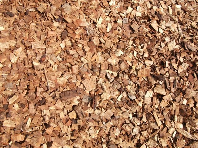 Hard wood chip