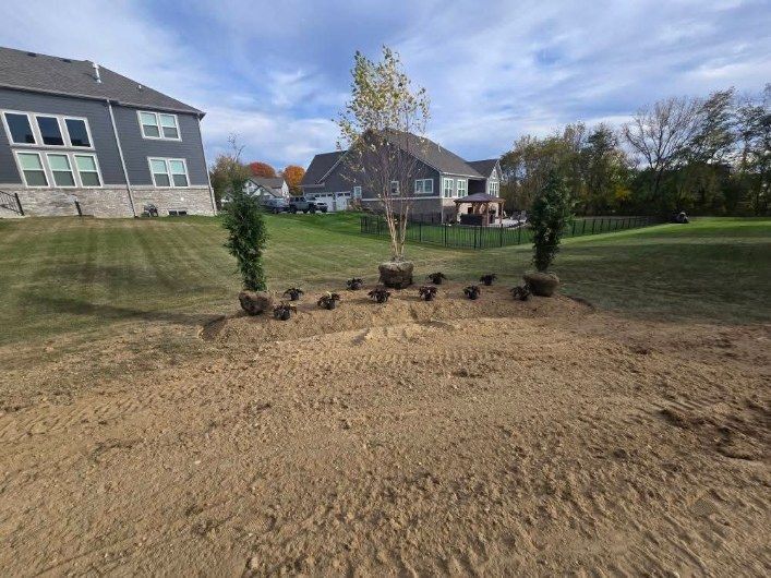 Newly planted trees and shrubs in a yard with houses and sky in the background.