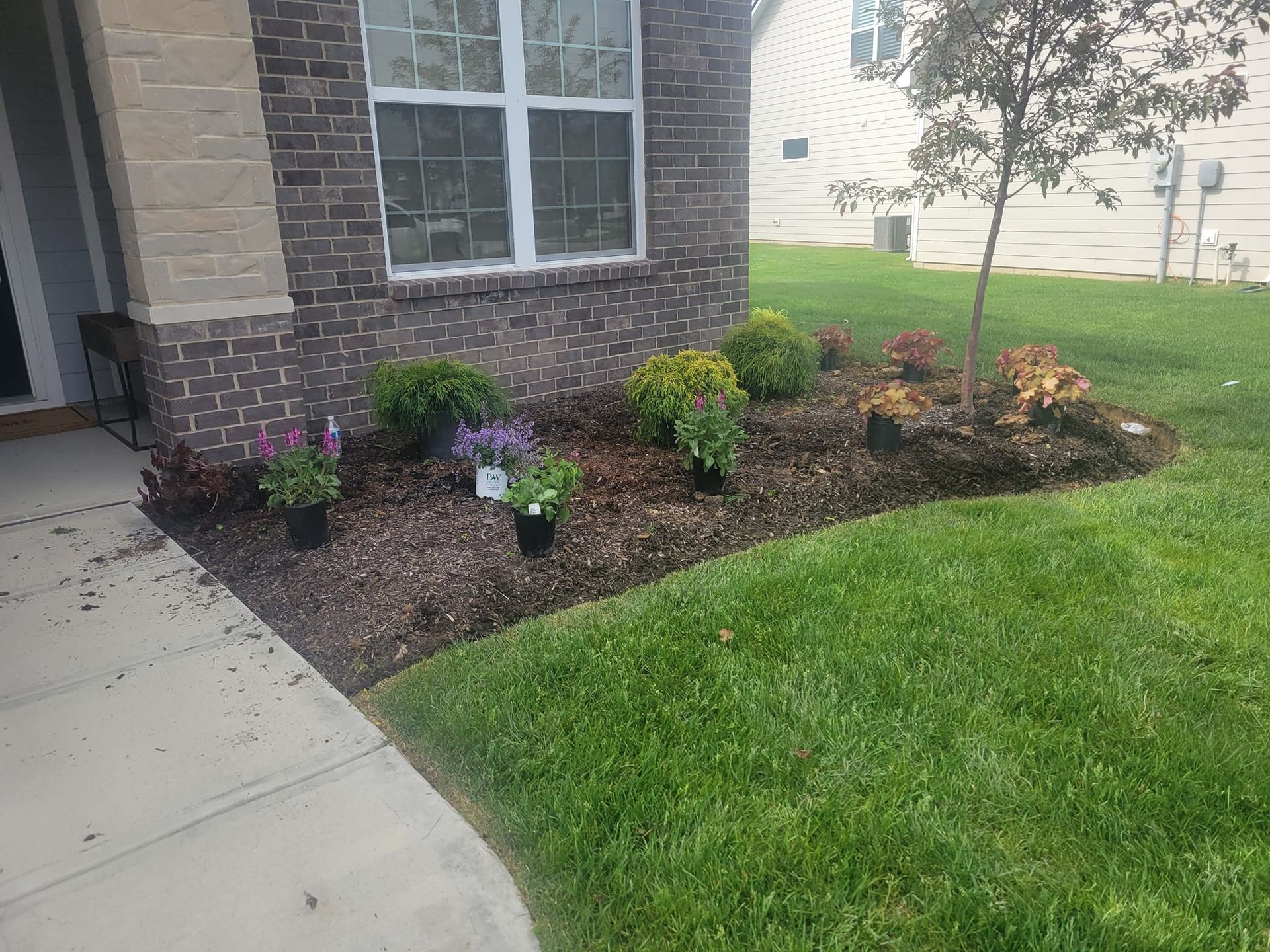 Front yard flower bed with plants in pots, mulch, and green grass.