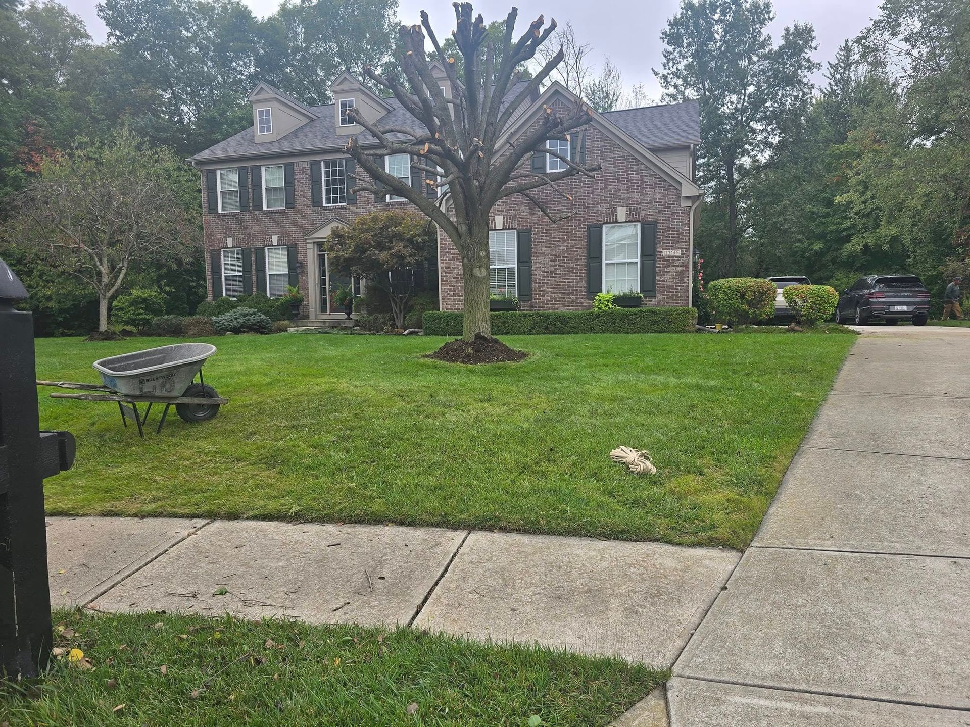 A brick two-story house with a manicured lawn, a wheelbarrow, and a bare tree in the front yard.