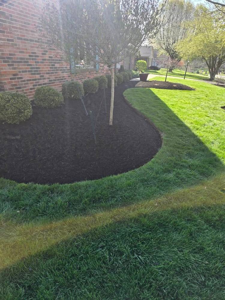 Freshly mulched garden bed with a border of neatly cut green grass.