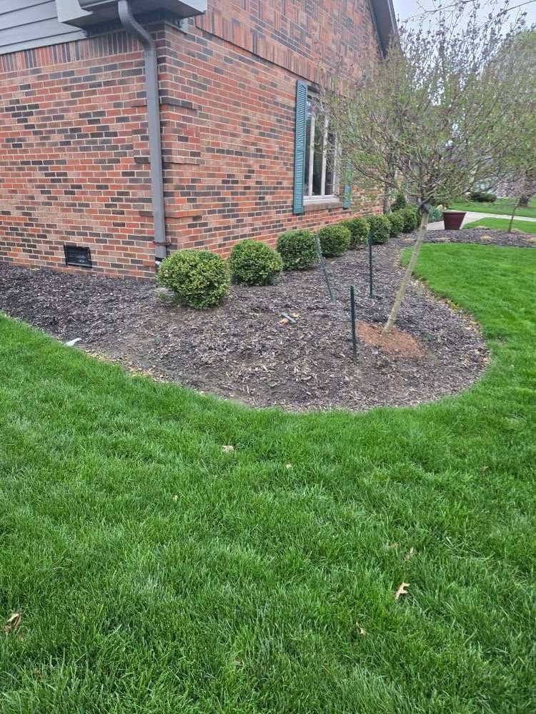 Brick building with a line of shrubs in mulch bed along the side and green lawn.