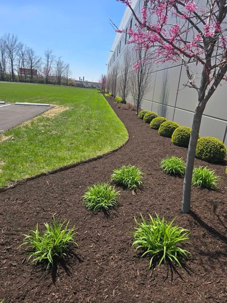 A landscaped bed with mulch, green plants, and bushes along a building. A tree with pink flowers is on the right.