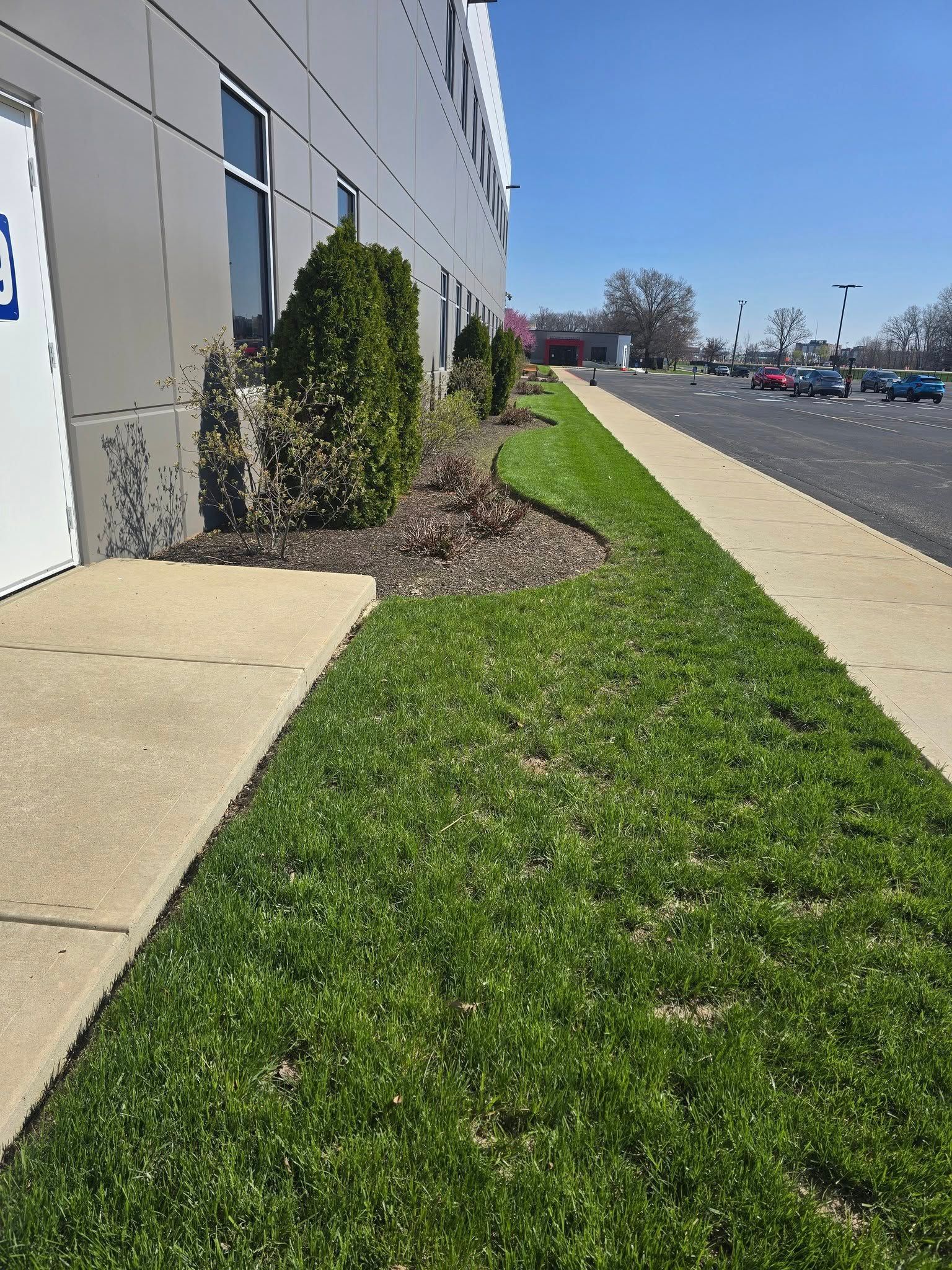 Green lawn and landscaping next to a gray building and sidewalk on a sunny day.