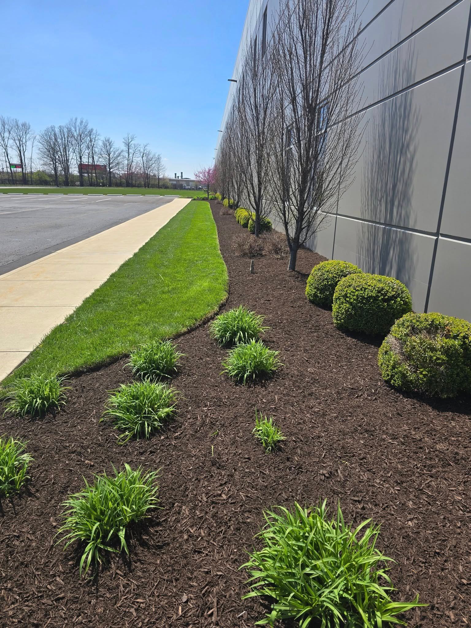 Green grass and mulch beds border a building with trees and shrubs under a blue sky.