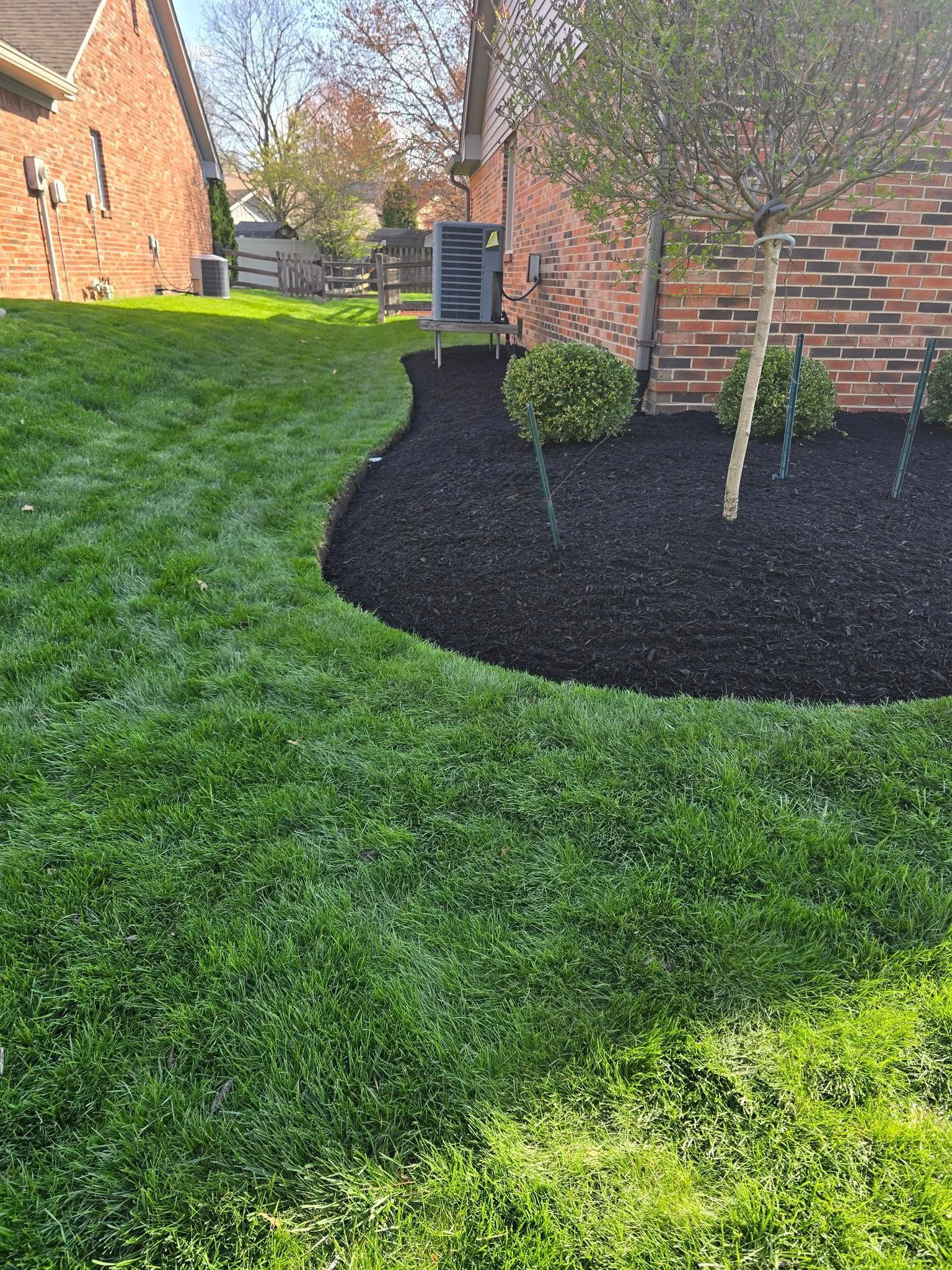 Lawn with curved edge meets black mulch and brick house. Two ornamental trees stand near the house.