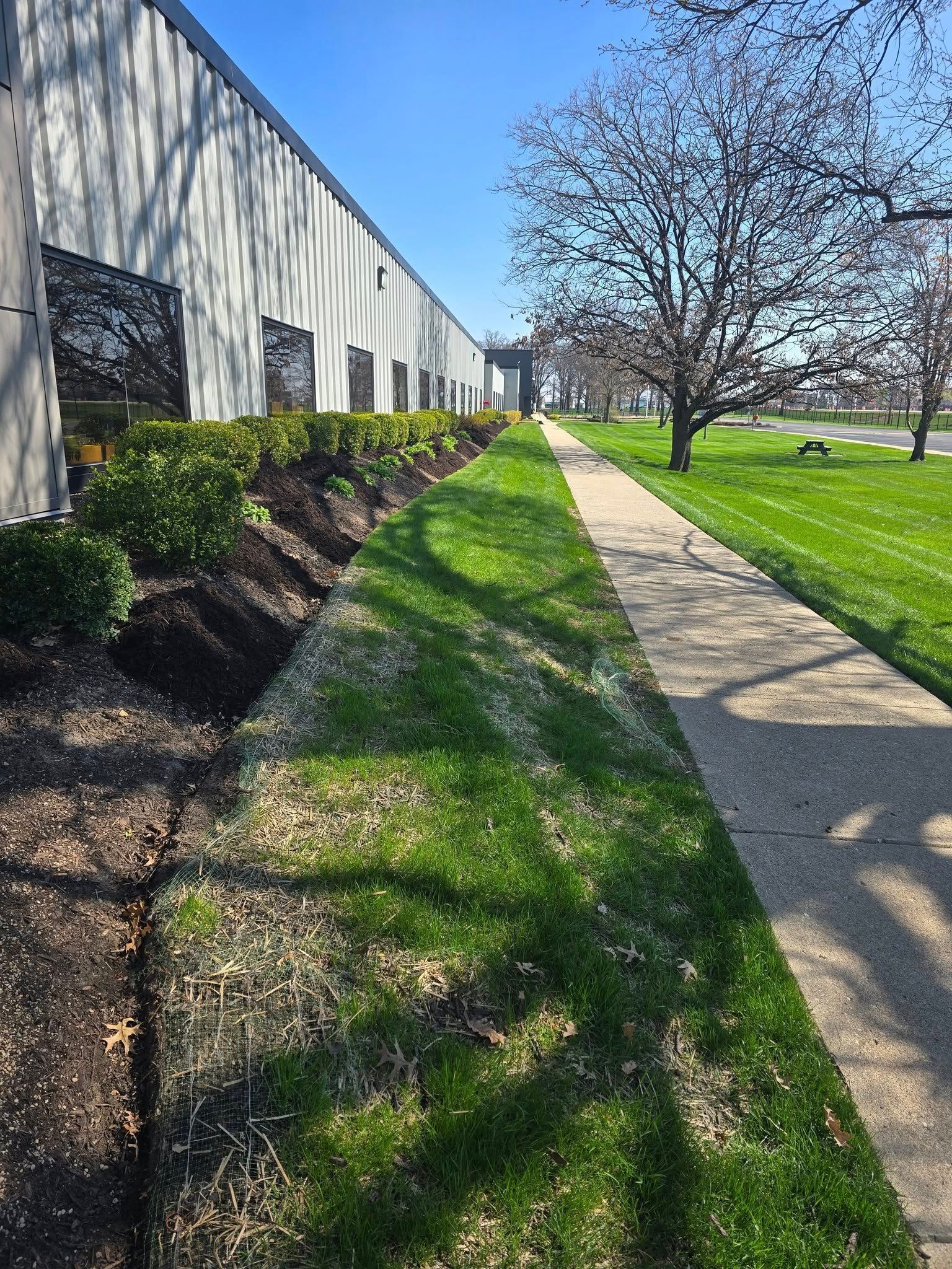 Sidewalk next to a building and grass. Bushes and trees line the path on a sunny day.