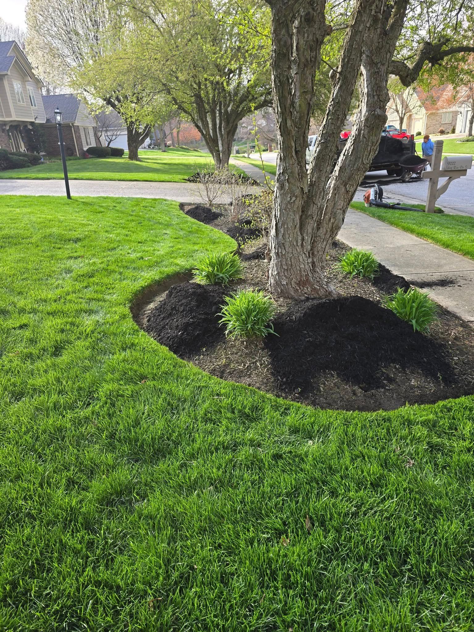Lawn with a tree, garden bed with dark mulch, and greenery. The scene is bright and sunny.