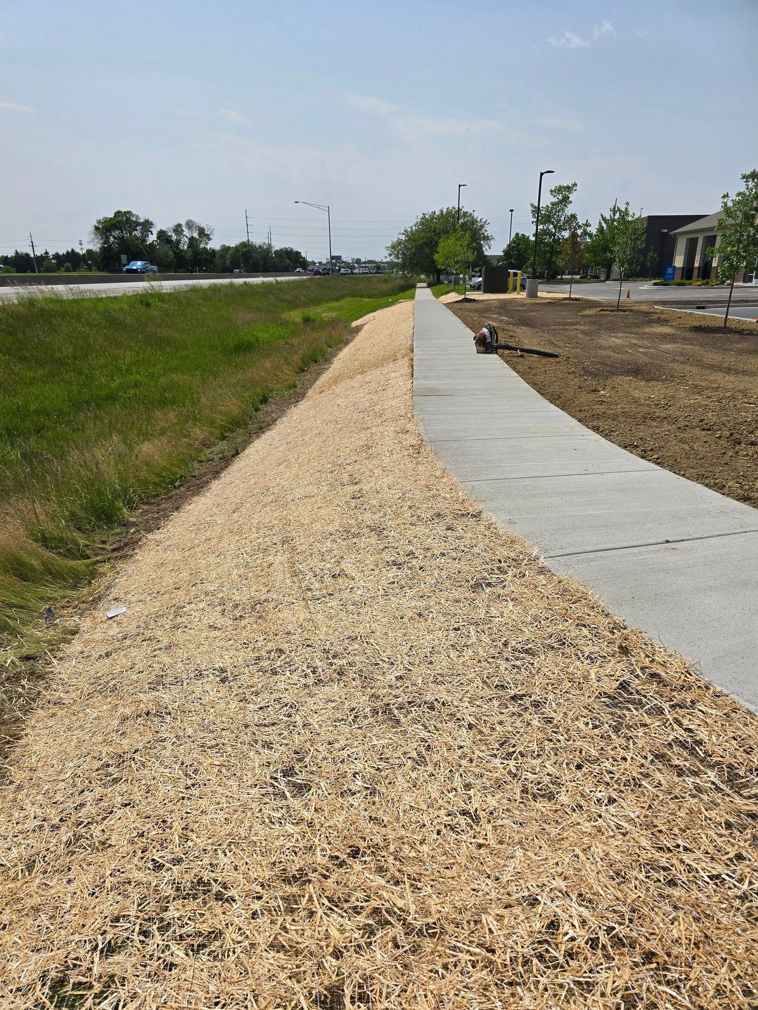 A concrete path with wood chips on one side and grass on the other, sunny day.