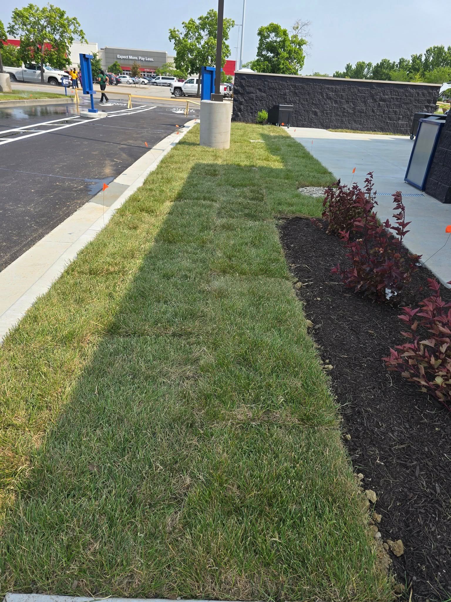 Green grass and dark mulch borders a sidewalk. A business is in the background.