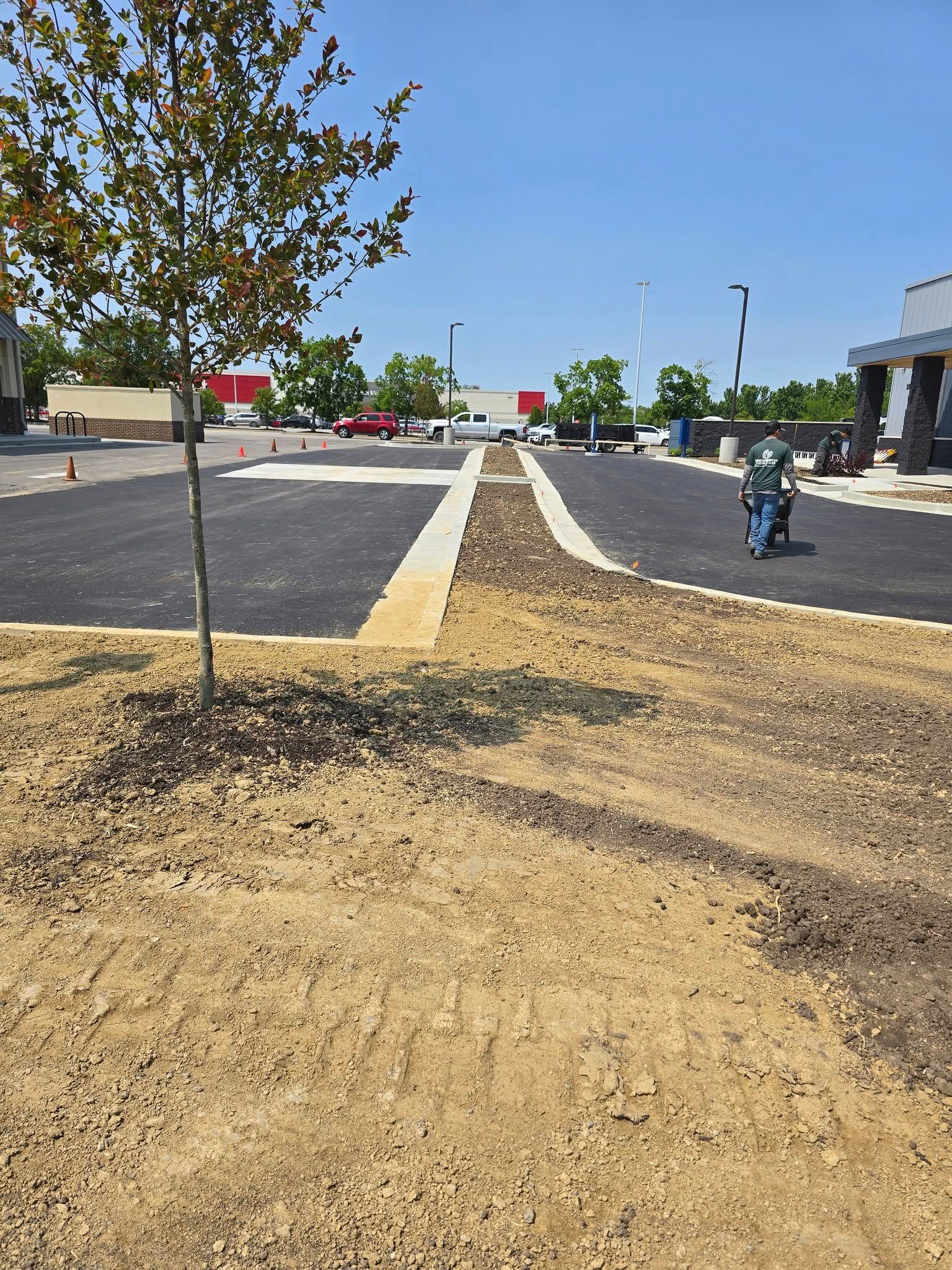 New asphalt parking lot with a central gravel walkway and a tree in the foreground.