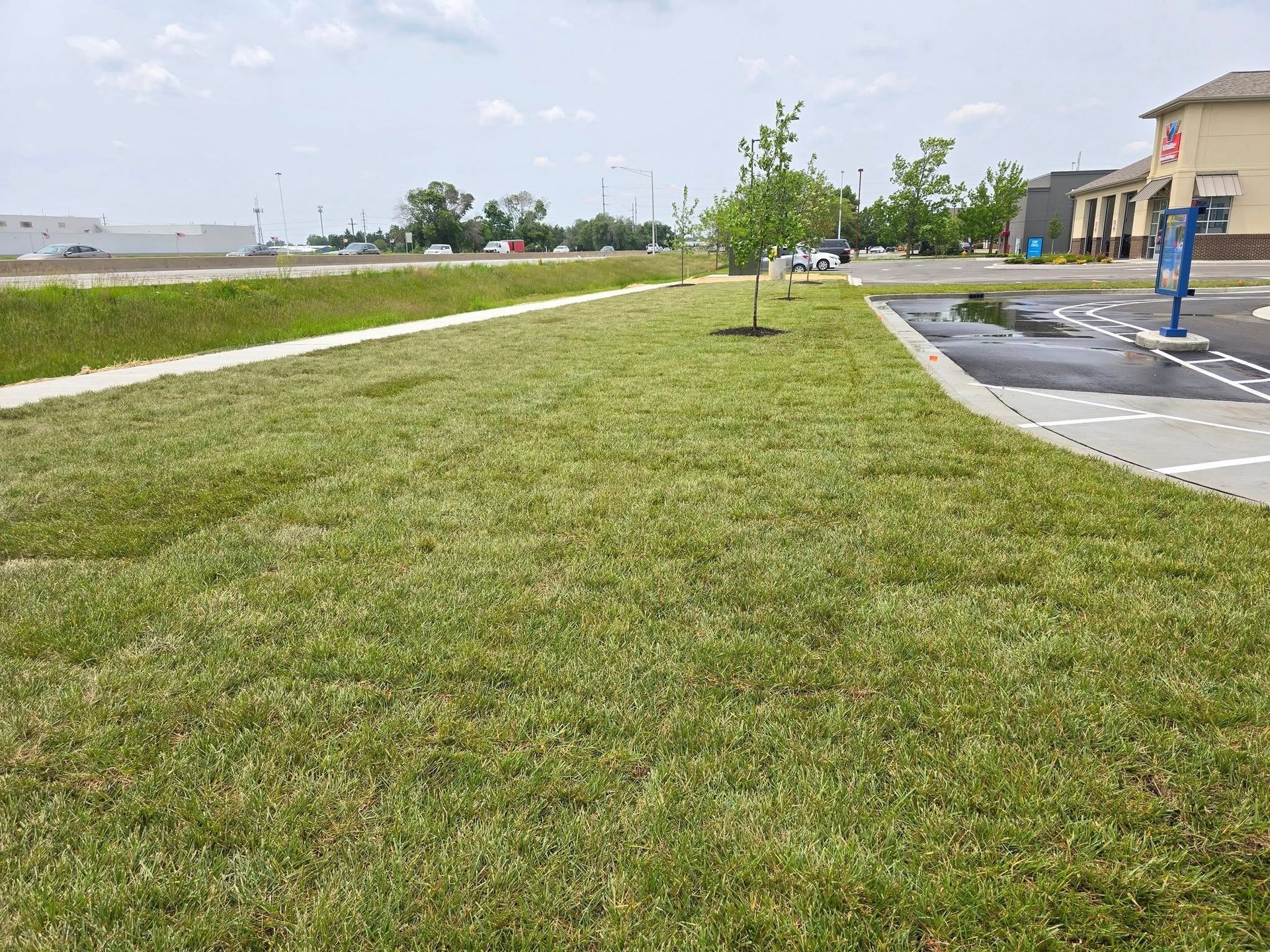 Lush green lawn with young trees, concrete curb, and a commercial building in the background under a cloudy sky.
