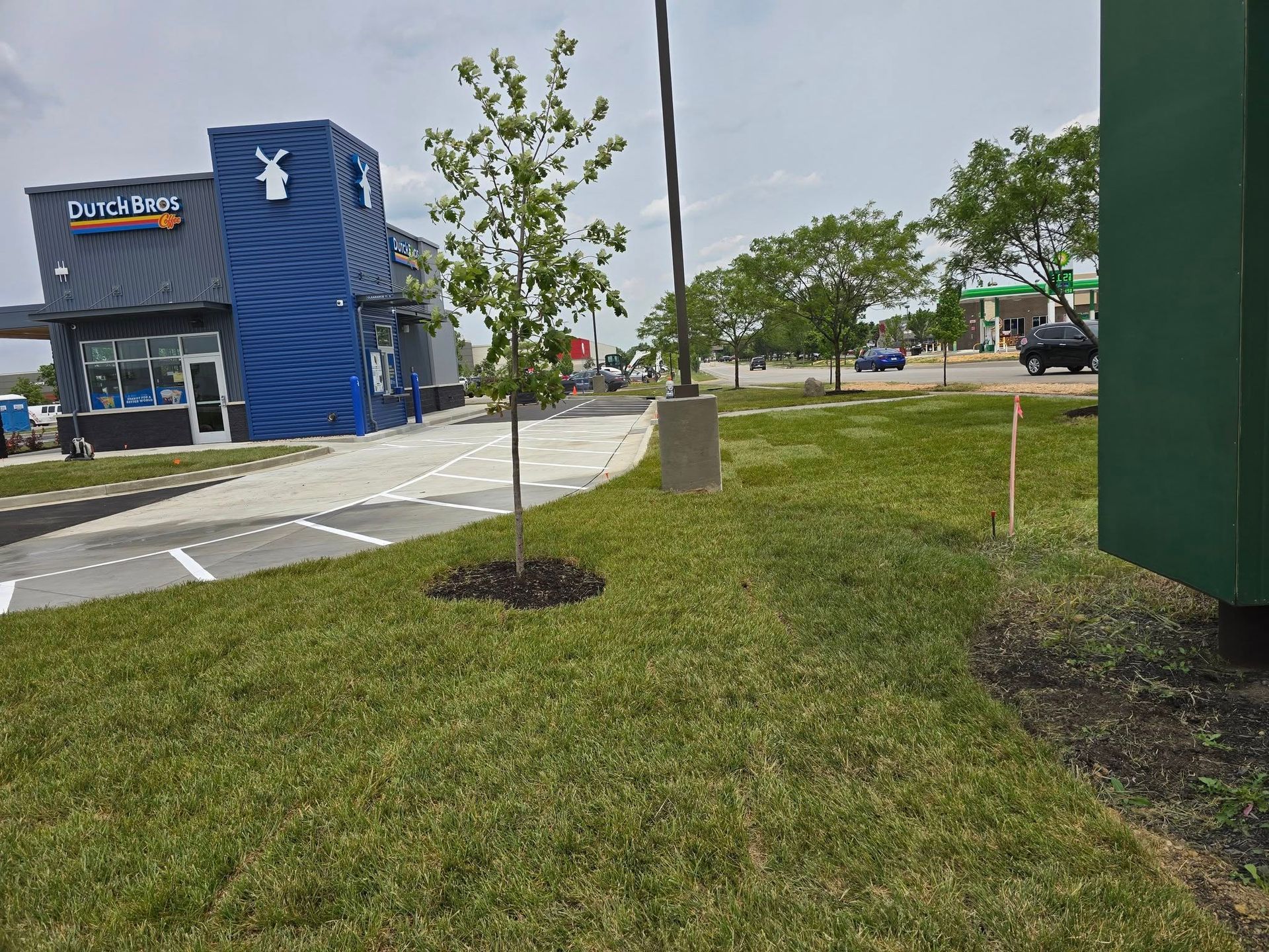 Dutch Bros Coffee shop with a young tree in front; asphalt and grassy area.