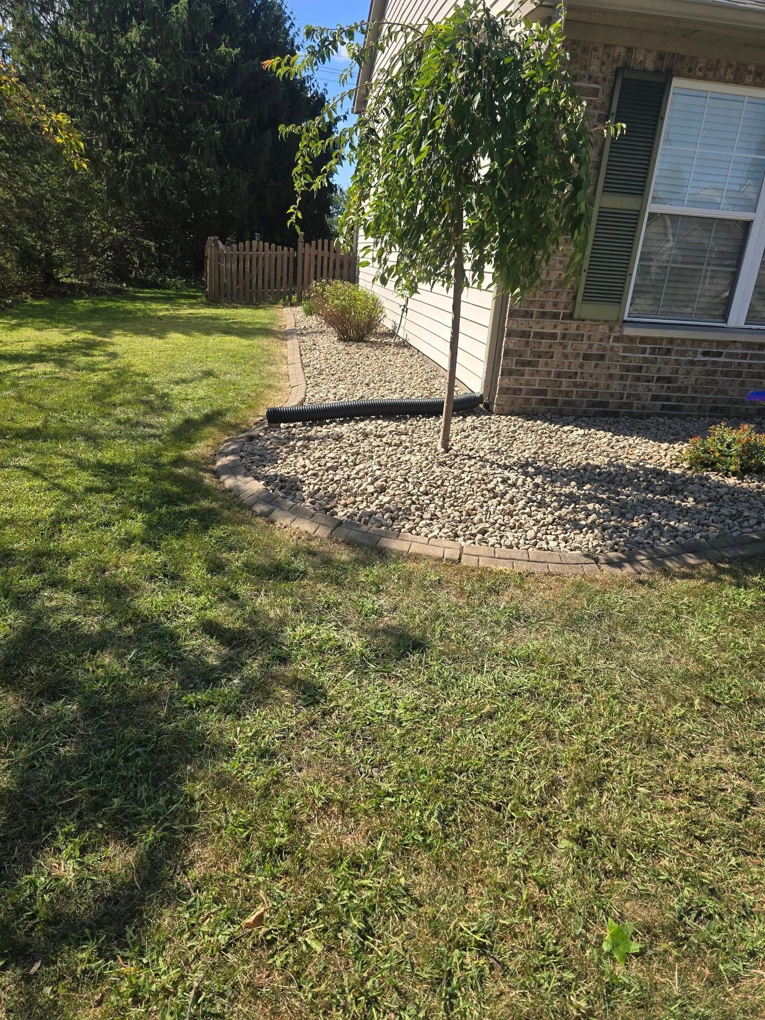 Lawn with small tree and rock bed next to a house with a wooden fence in the background. Sunny day.