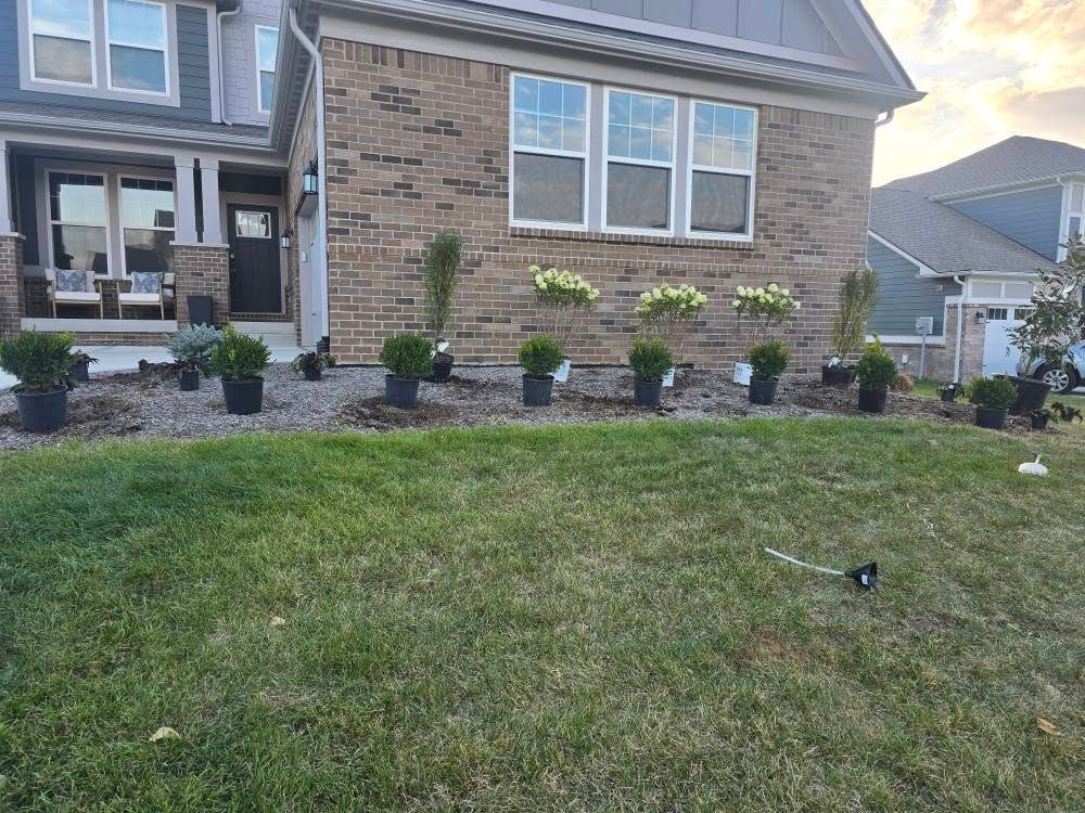 House with new landscaping. Several potted plants line the front yard. Green grass and brick facade.