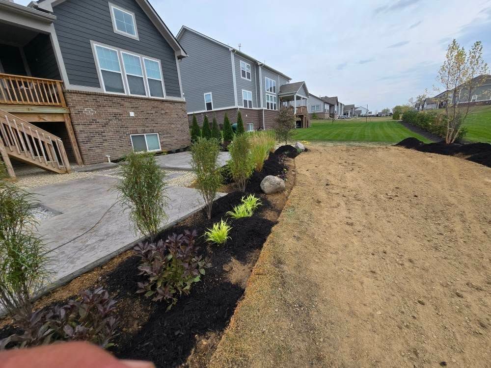 Backyard landscaping with newly planted bushes and a mulched bed next to a lawn and homes.