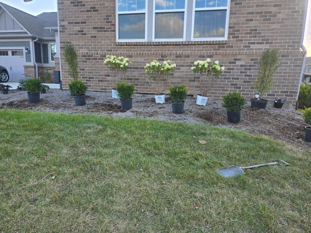 Brick house with row of potted plants and established flower boxes.