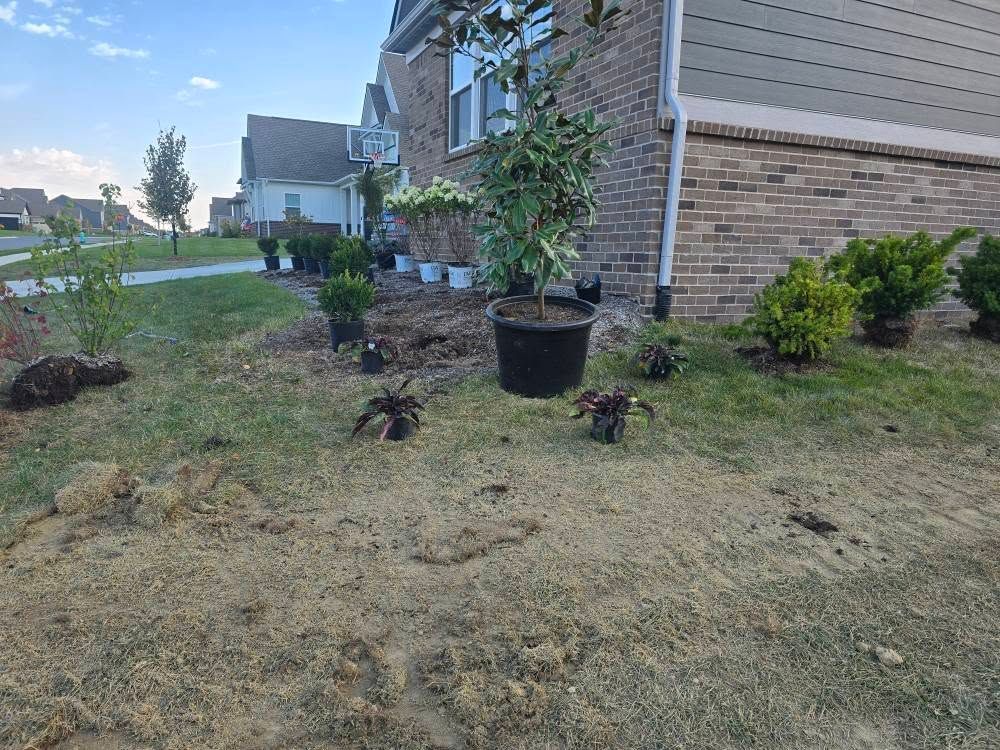 Newly planted landscaping in front of a brick house, featuring various potted plants and fresh soil.