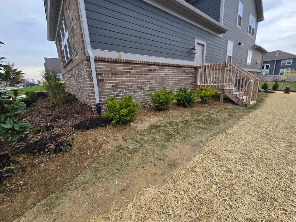 House exterior with brick foundation and blue siding, small shrubs, wooden stairs, and bare grass.
