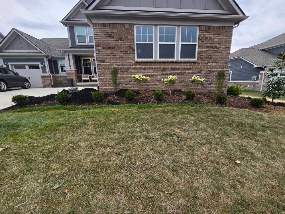 Brick house with landscaped front yard; dark mulch, green bushes and lawn.