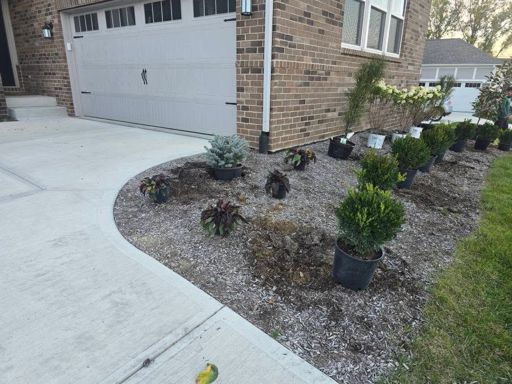 Front yard landscaping in progress with new plants and gravel near a garage.