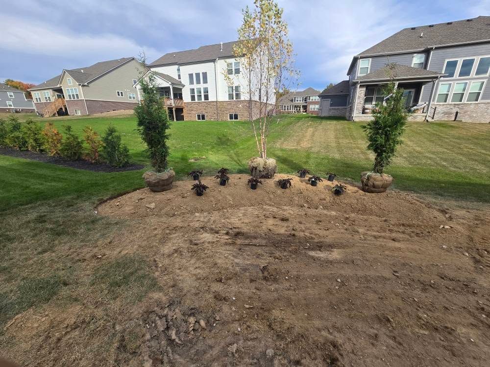Newly planted trees and bushes in a backyard, with houses in the background and a blue sky.