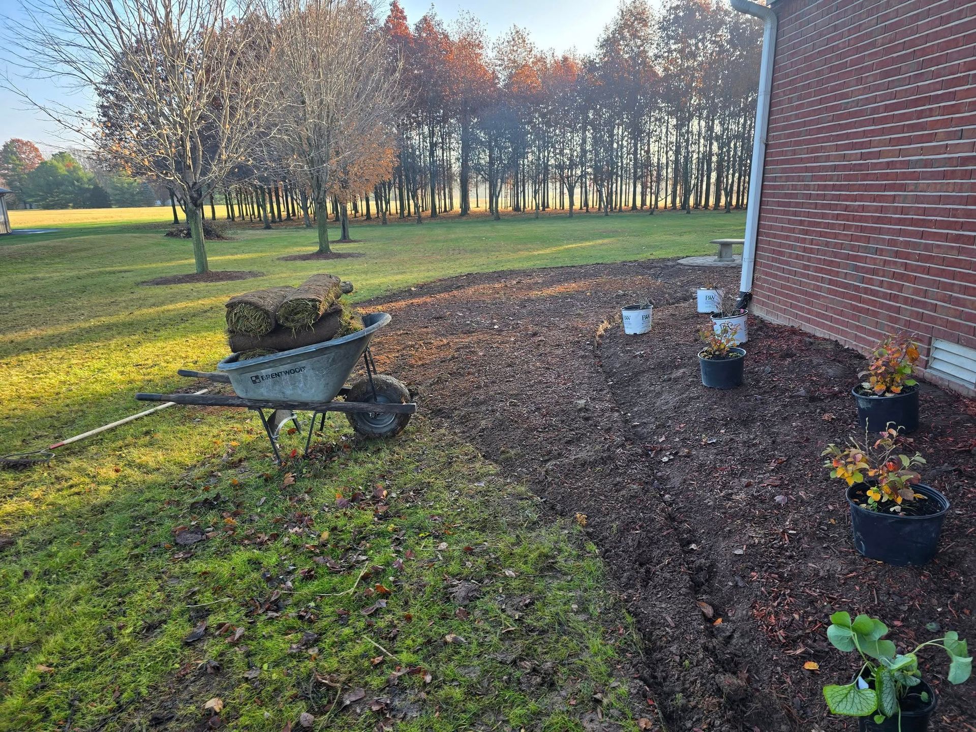 Wheelbarrow with sod on a grassy lawn next to a brick building and mulched garden bed.