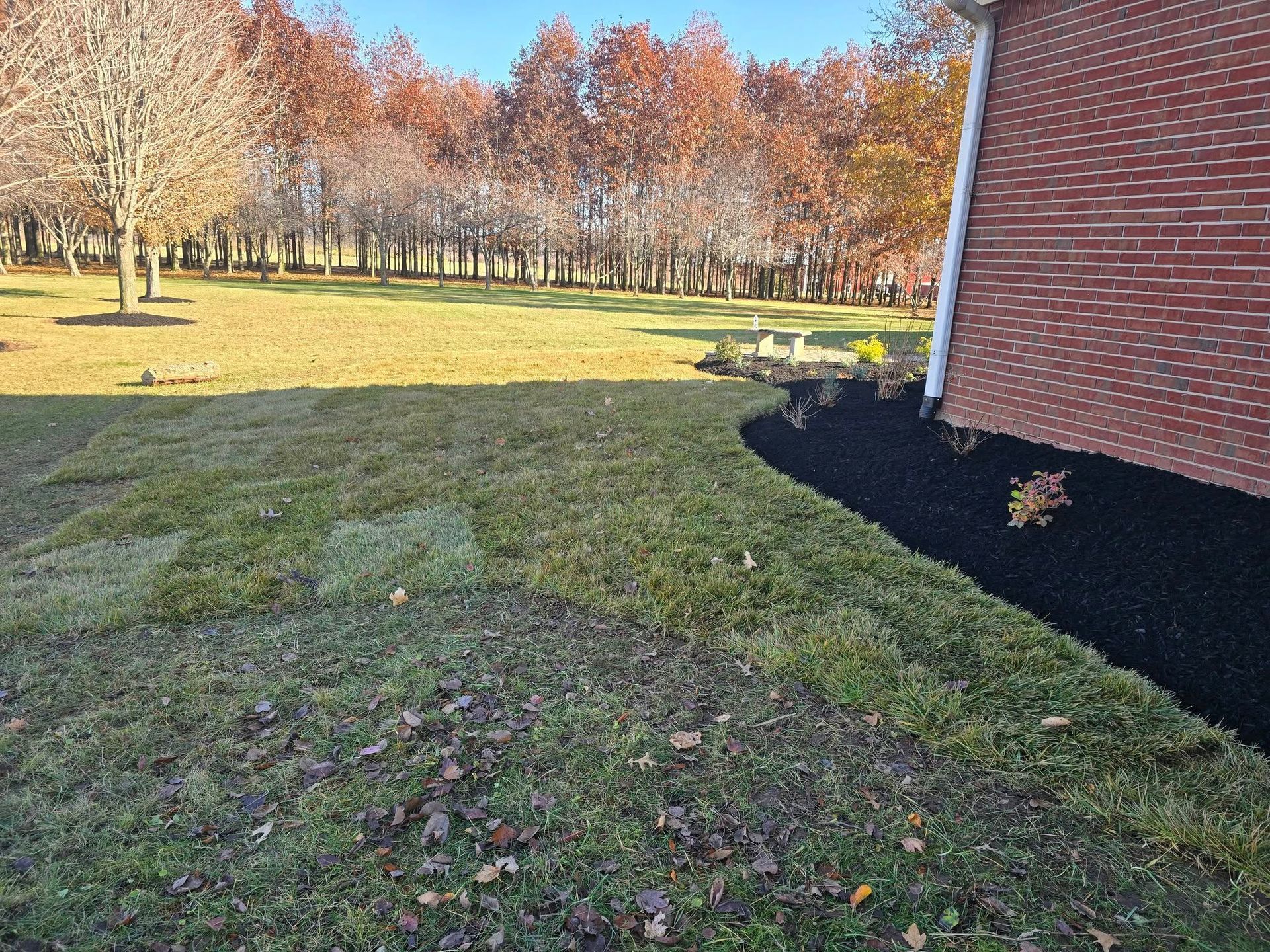 Lawn with grass, brown leaves, and a mulch bed beside a brick building. Fall trees in the background.