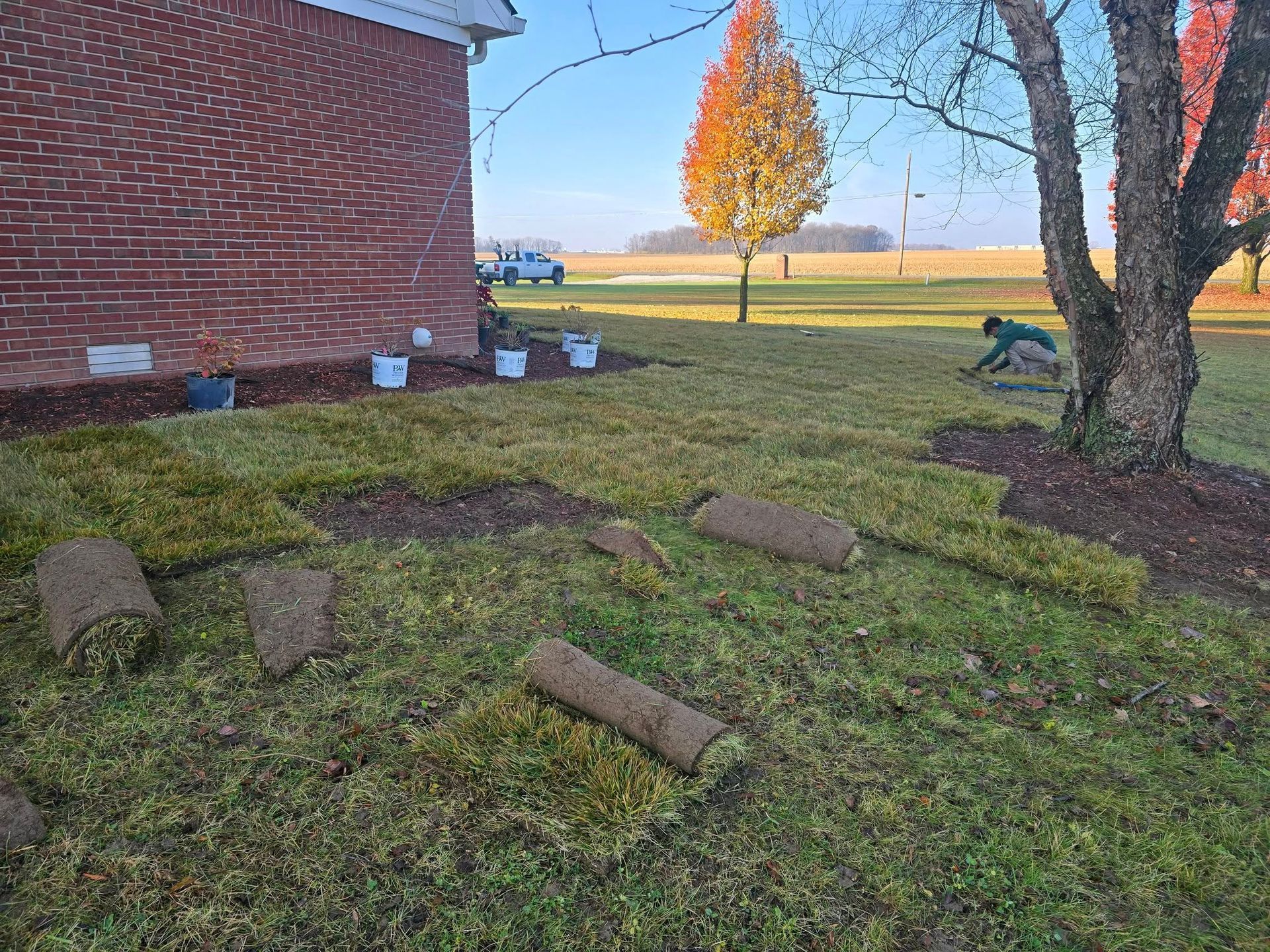Installing sod rolls on lawn near a brick house, person working, sunny day.