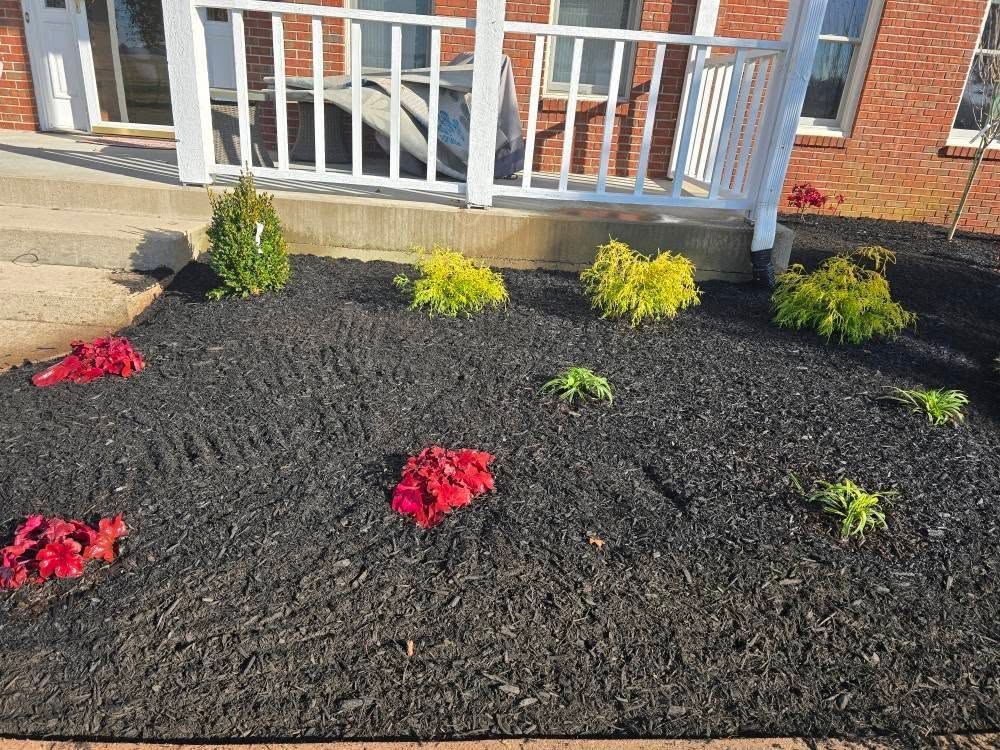 Flower bed with dark mulch, various plants, and a brick house.