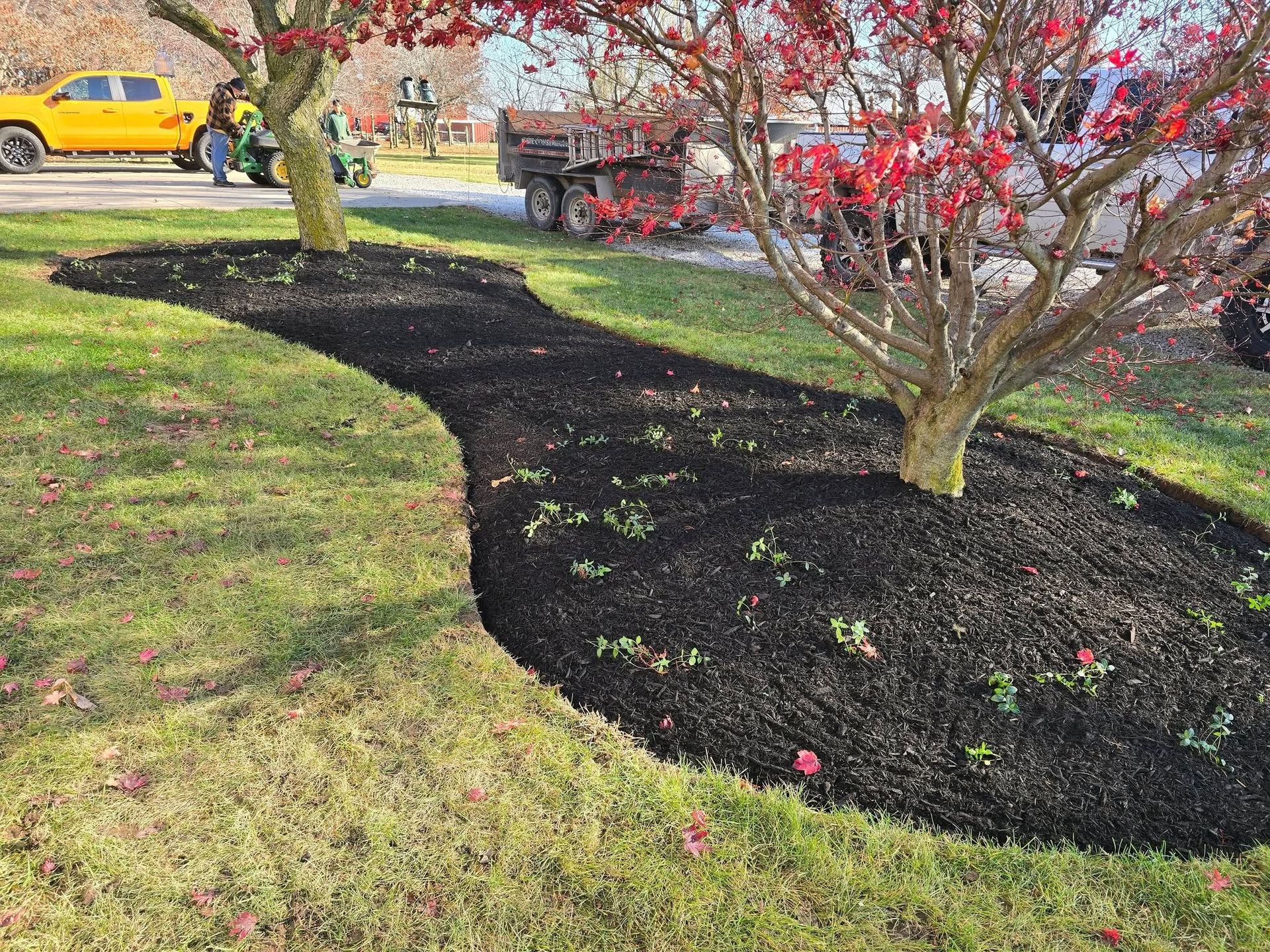 Mulched bed around trees in a grassy yard, with construction vehicles in the background.