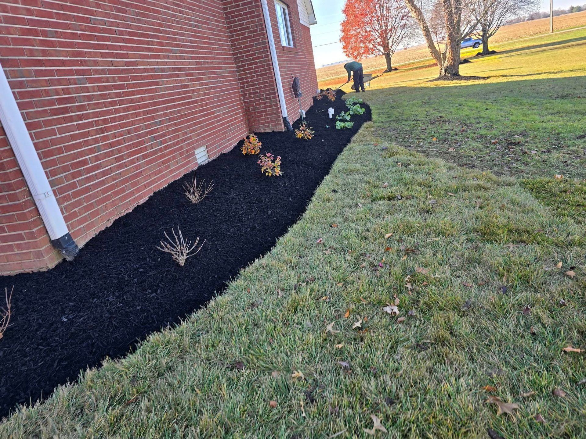 Black mulch bed with plants along a brick building, adjacent to a grassy lawn.