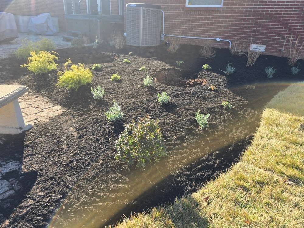 Flowerbed with dark mulch and young plants next to a brick building and grass lawn.