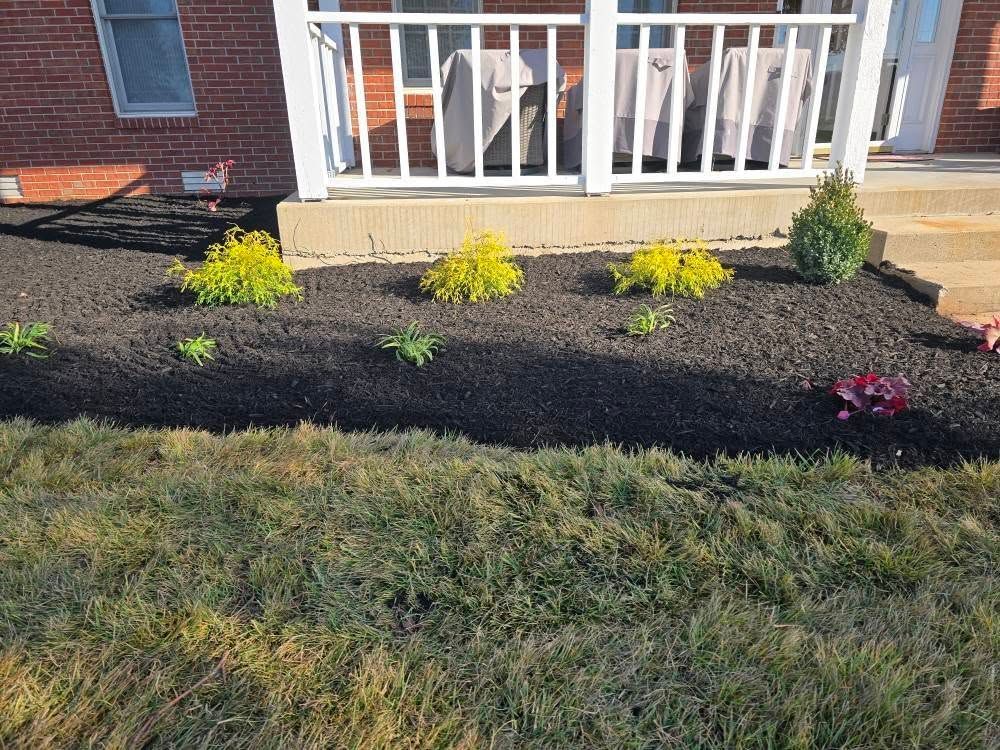 Flower bed with black mulch, yellow plants, green grass, and a white porch.