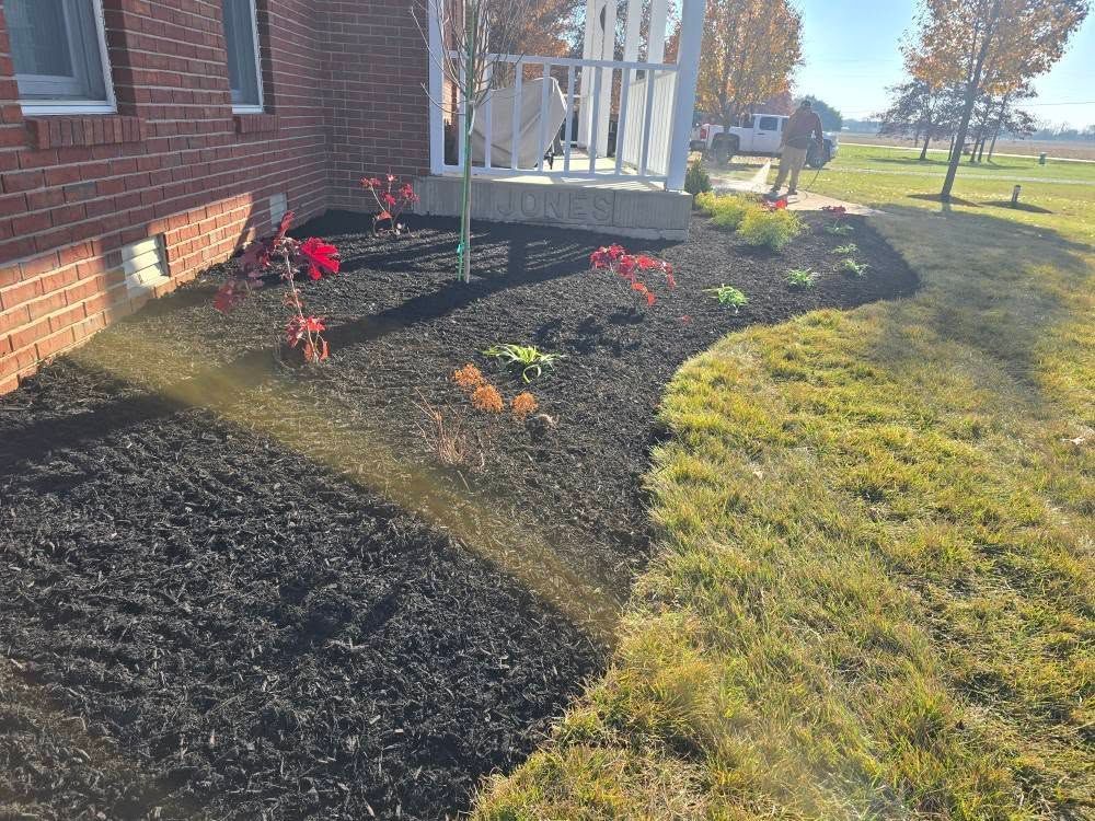 Flower bed with black mulch, newly planted red and green foliage, beside a lawn and red brick house.