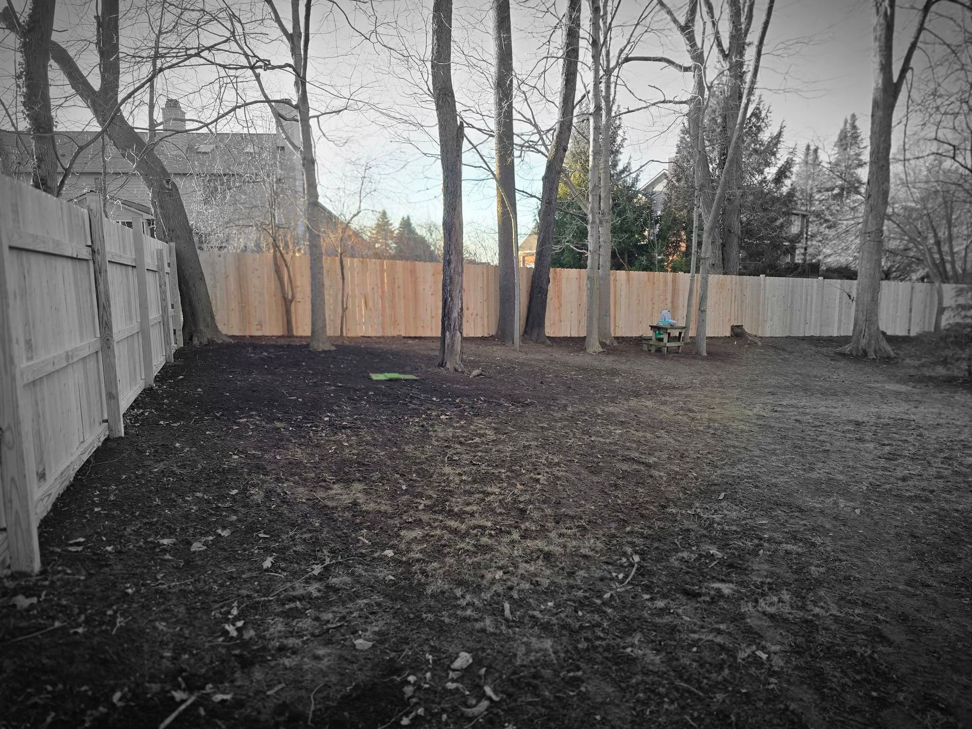 Backyard with brown dirt, trees, and wooden fences.