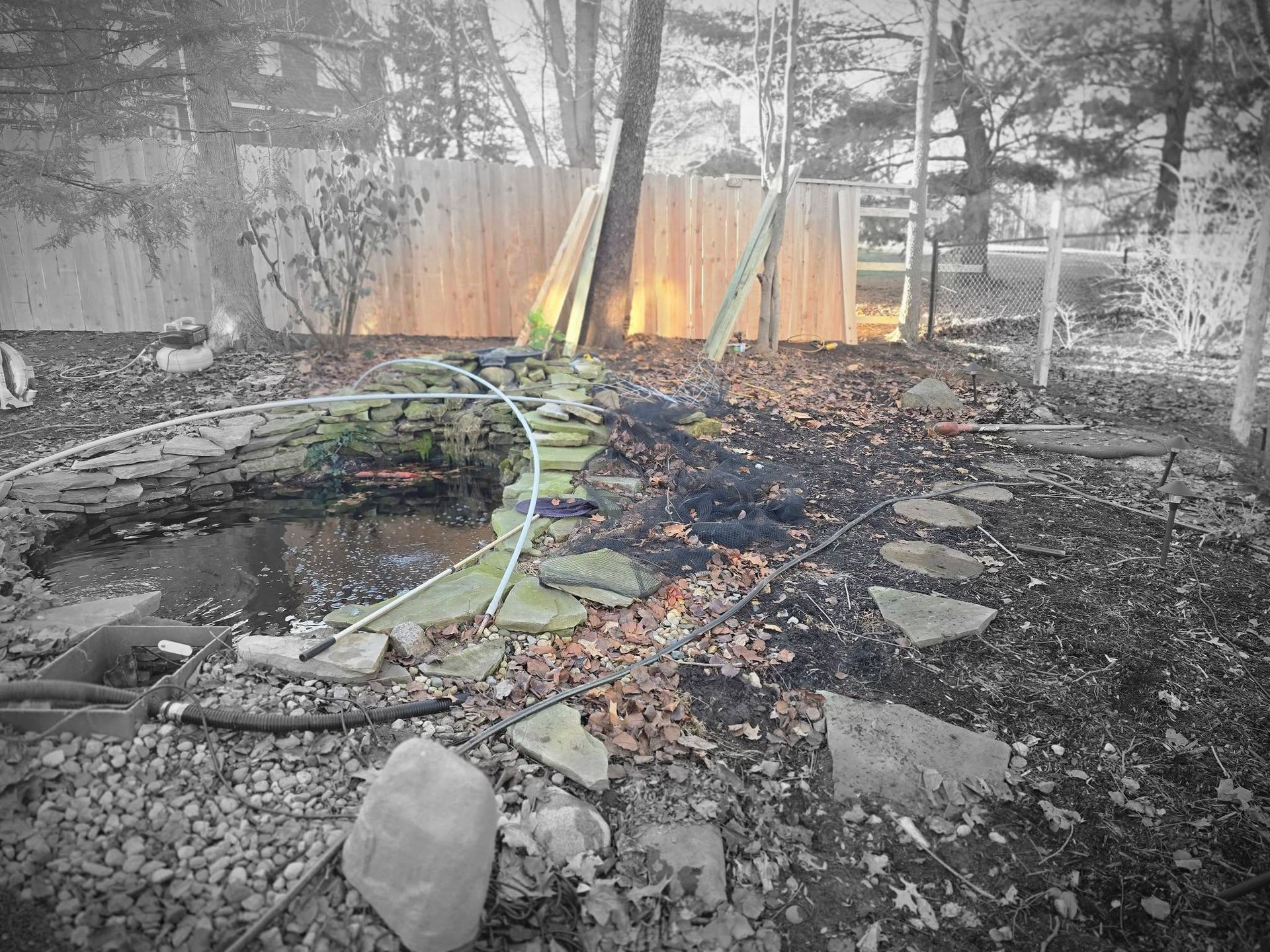 Backyard pond with stone path, wooden fence, trees, and scattered debris. Partially colored.
