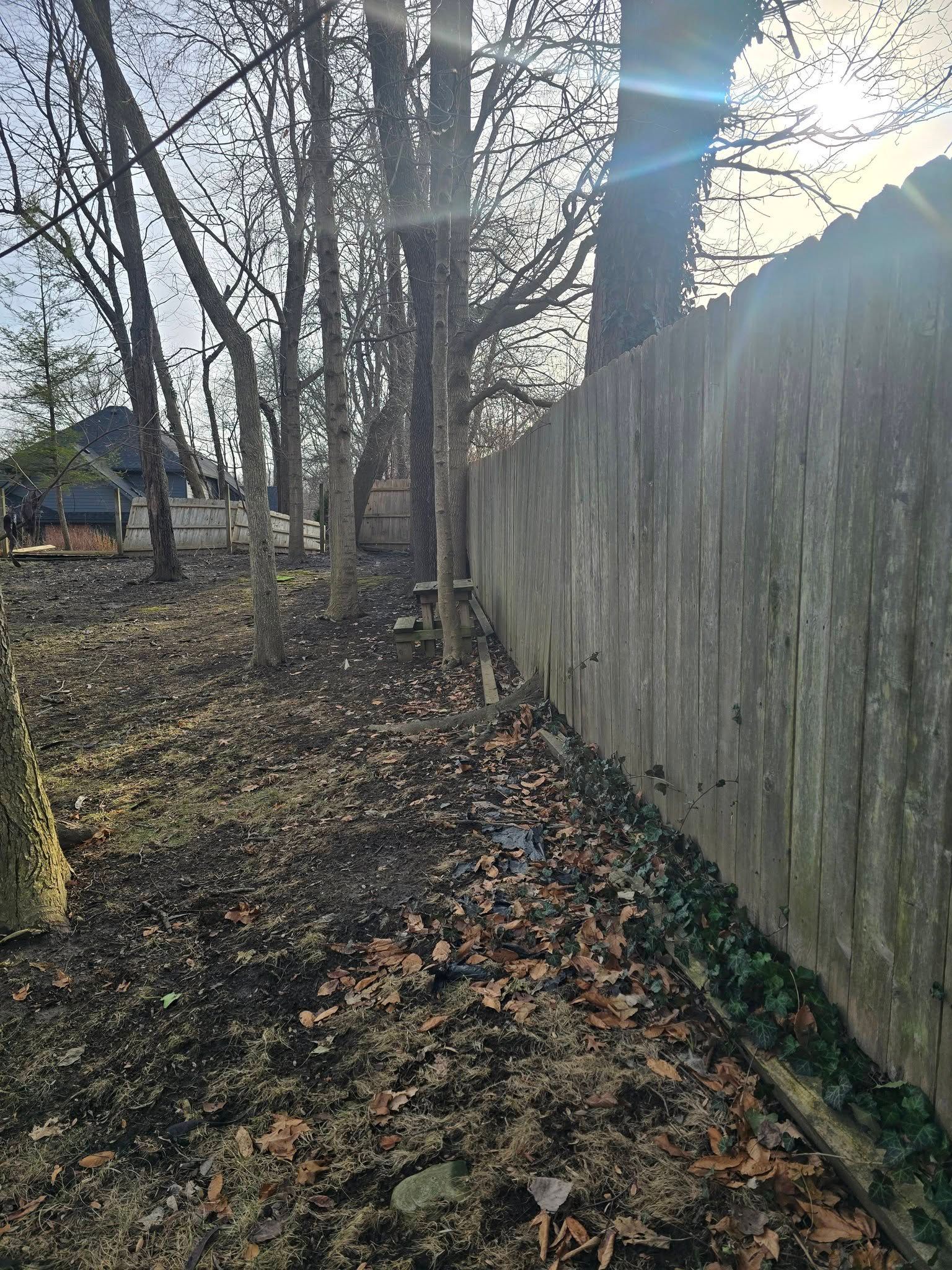 Wood fence alongside a shaded yard with fallen leaves and trees, and a distant house.