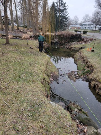 Man standing by a stream in a grassy area, holding a line. Trees and houses visible in the background.