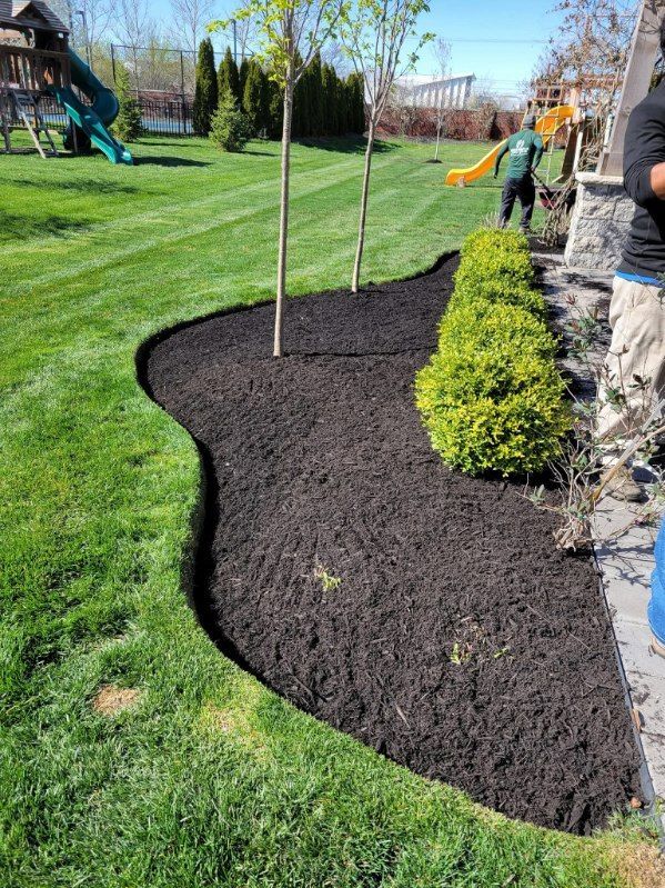 A mulched garden bed with trees and bushes, bordering green grass. A person works in the background.