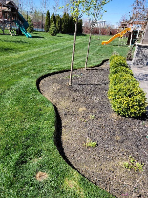 Green lawn with a curving mulch bed containing young trees and shrubs.