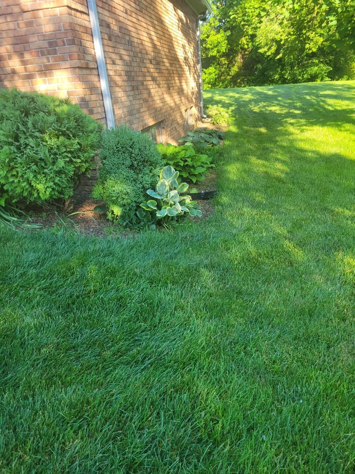 A well-manicured green lawn with a brick wall and various plants in a shaded garden bed.