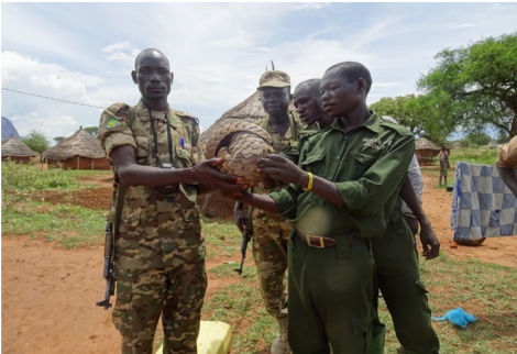 Picture 3 Pangolin Picture 3 Pangolin