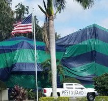 Drywood Termites Fumigation — Sarasota, FL — Pestguard