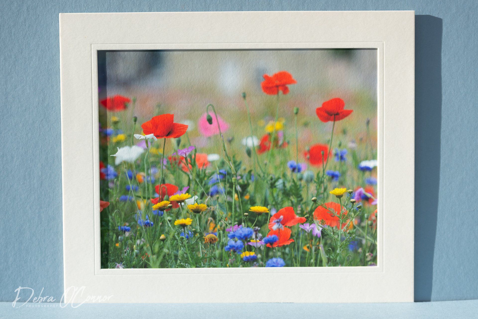 Beautiful wild flowers photo for sale