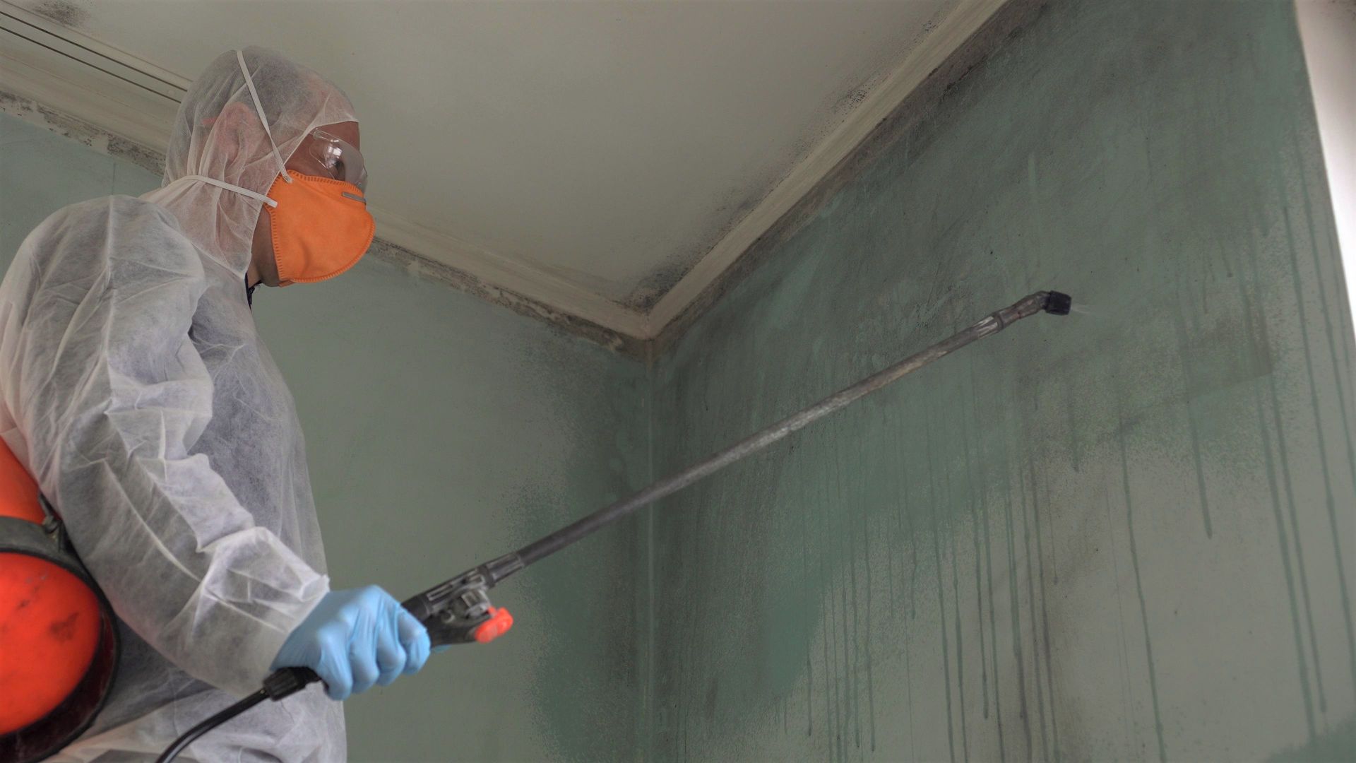 Person in protective suit spraying wall with mold.